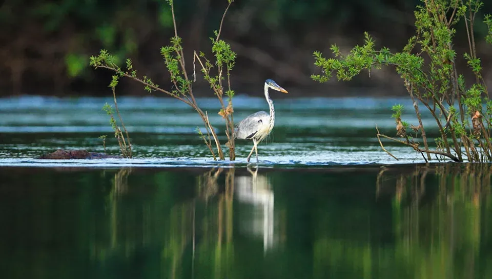 Lençóis Maranhenses e Amazônia