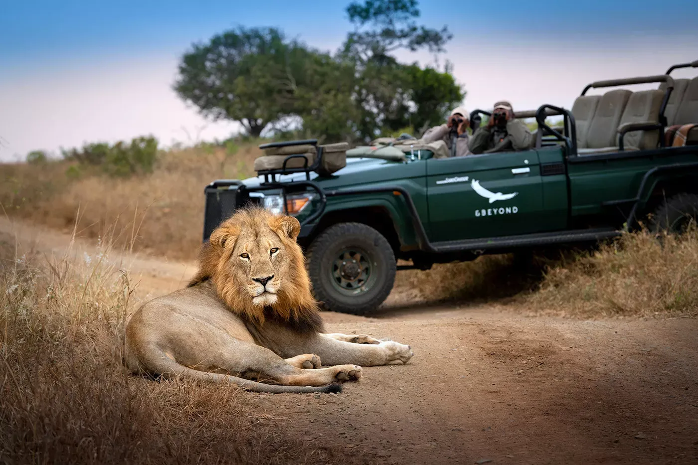 África do Sul e Safari Reservas Naturais Luxury 