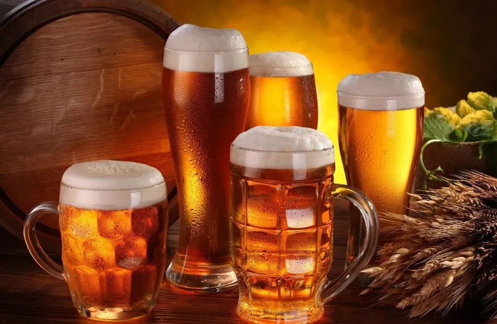 Grande Circuito da Cerveja em Alemanha, Bélgica, Holanda e Rep. Tcheca.