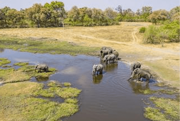 Cape Town e Safari no Parque Nacional Marakele