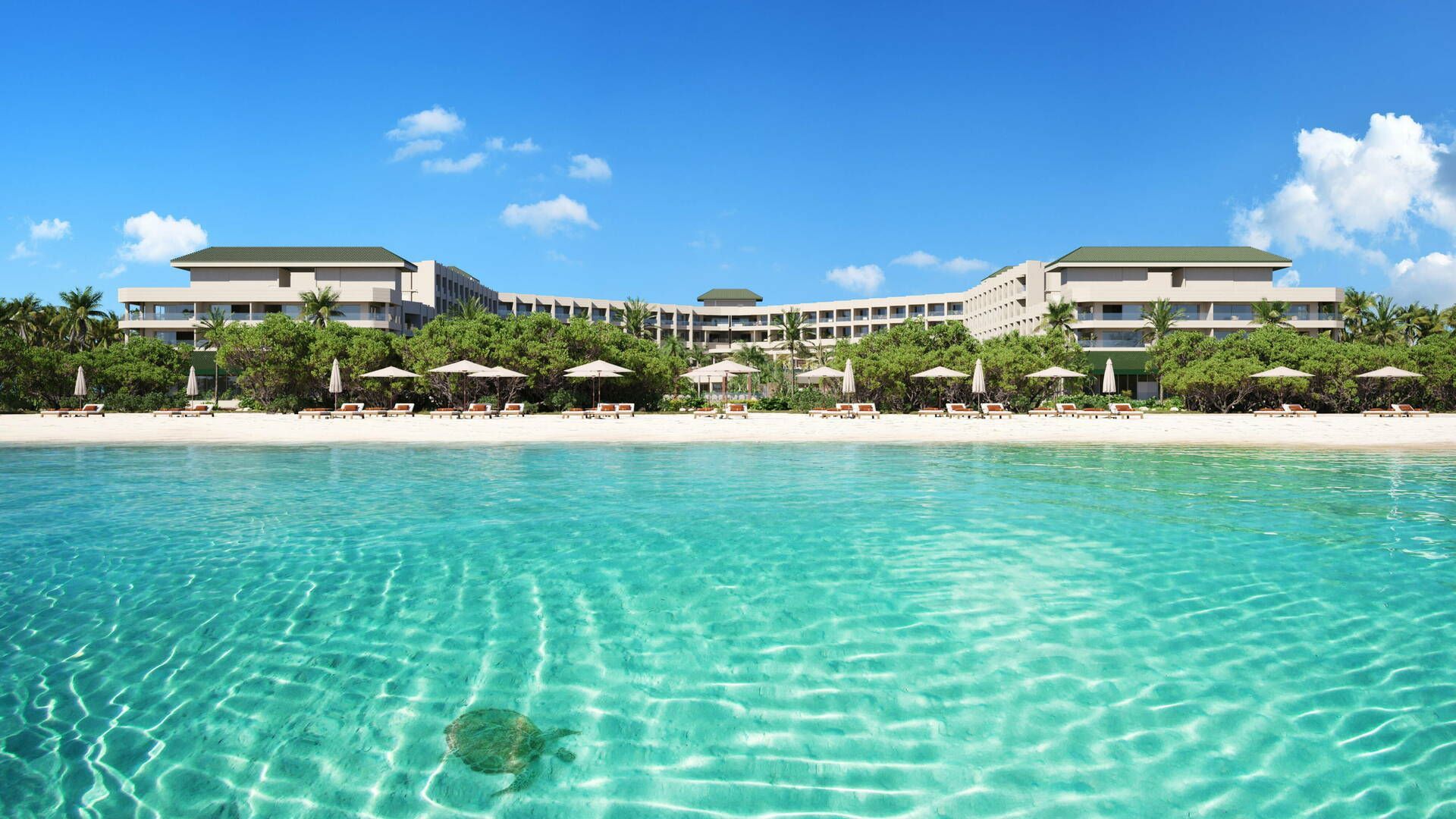 Aruba no JOIA Aruba by Iberostar