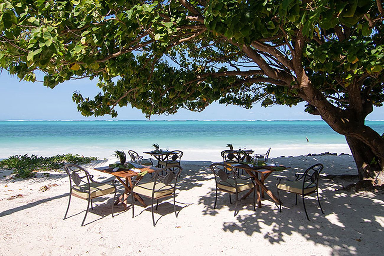 Aventura no Masai Mara e Zanzibar