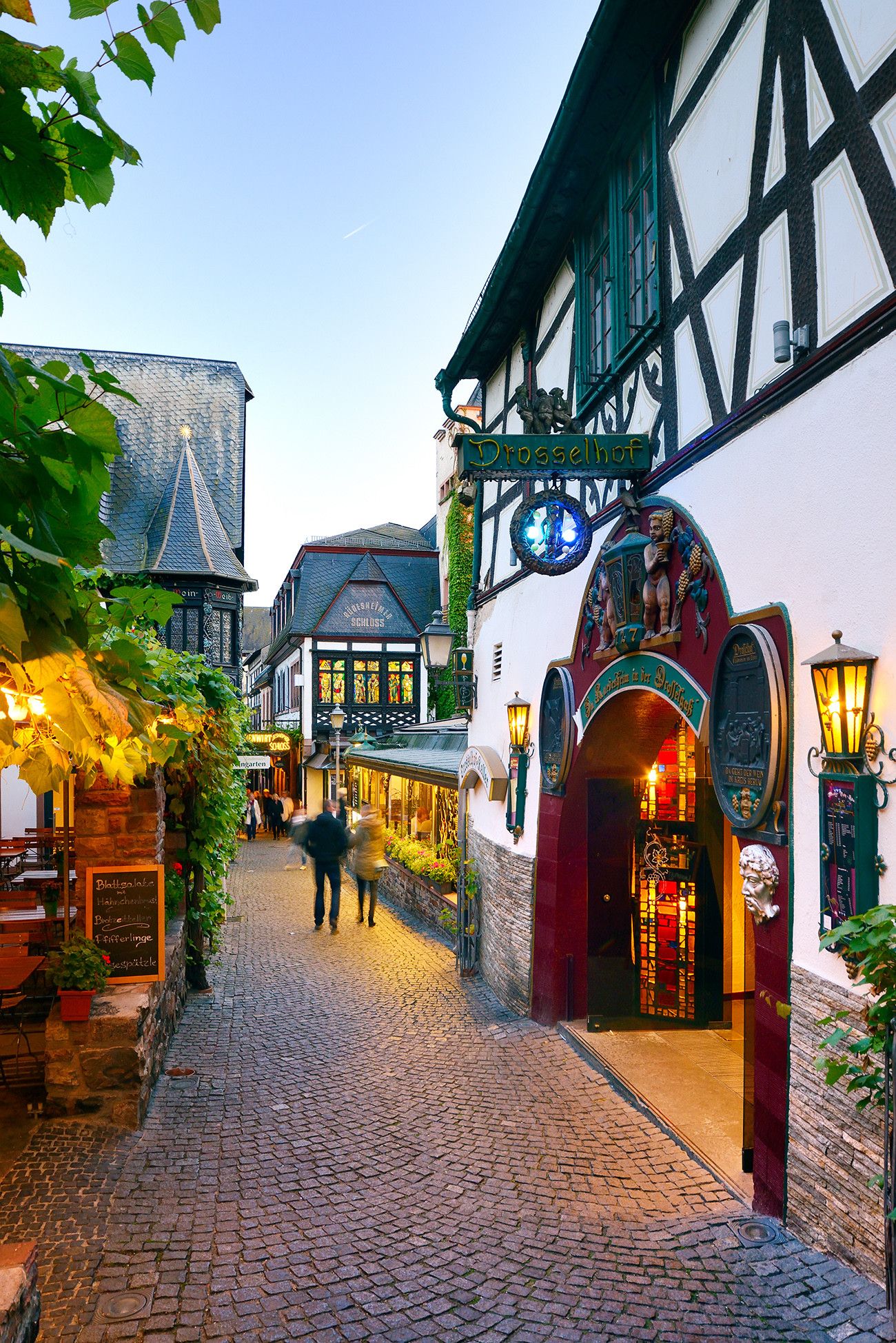 Os vinhos do Reno e do Mosela